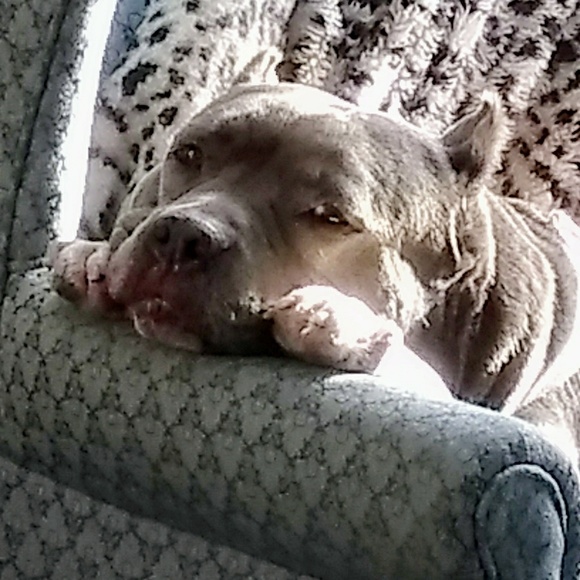 Meet your Posher, Kaylyn - Picture 2 of 2